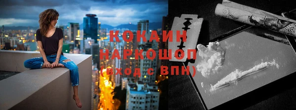 твердый Арсеньев