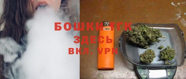 твердый Арсеньев