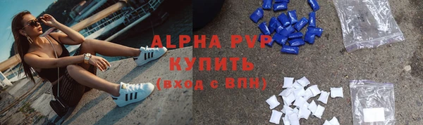 твердый Арсеньев