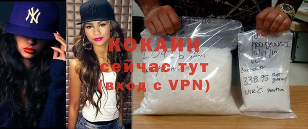 твердый Арсеньев